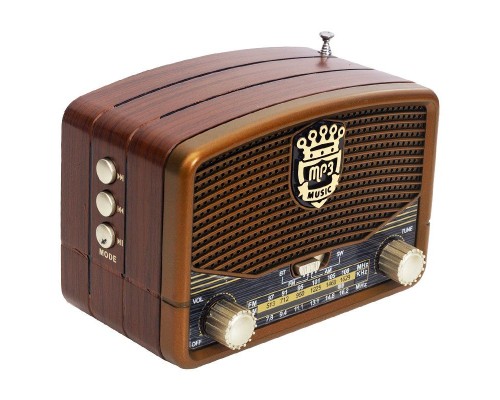 Everton Rt 307 Radyo