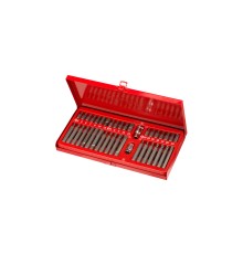 40 Parça Otomotiv Bits Set