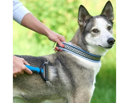 Plastik Saplı Metal Kedi Köpek Bakım Kıtık Tüy Topak Açıcı Tarak